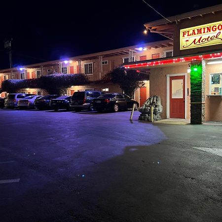Flamingo Motel أوكسنارد، كاليفورنيا المظهر الخارجي الصورة