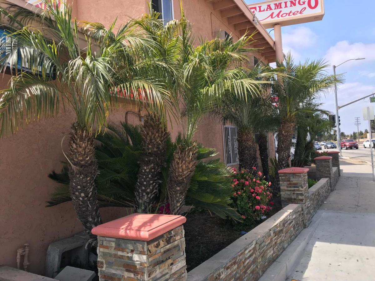Flamingo Motel أوكسنارد، كاليفورنيا المظهر الخارجي الصورة